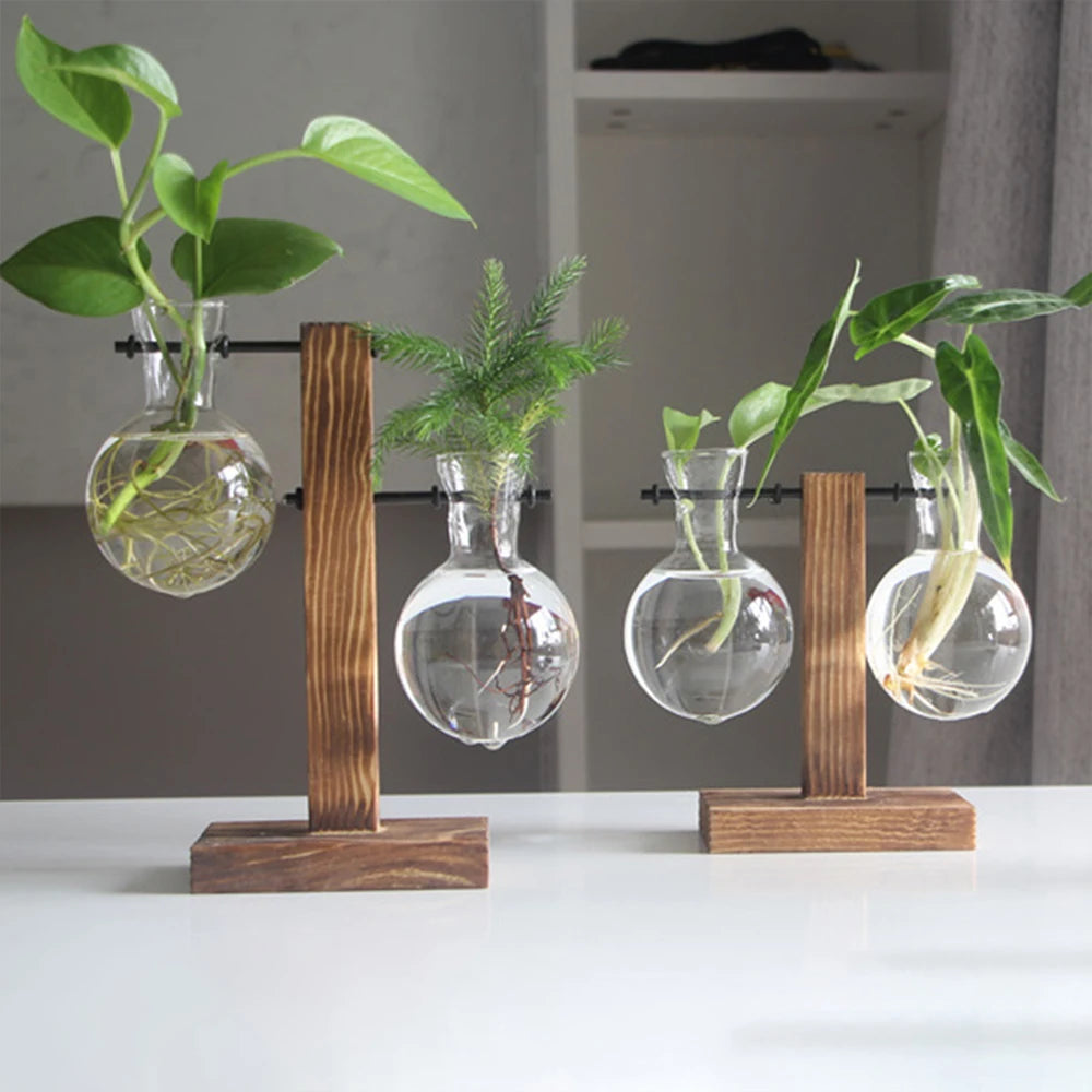 Glass Bulb Vase with Wooden Stand - EazerHome