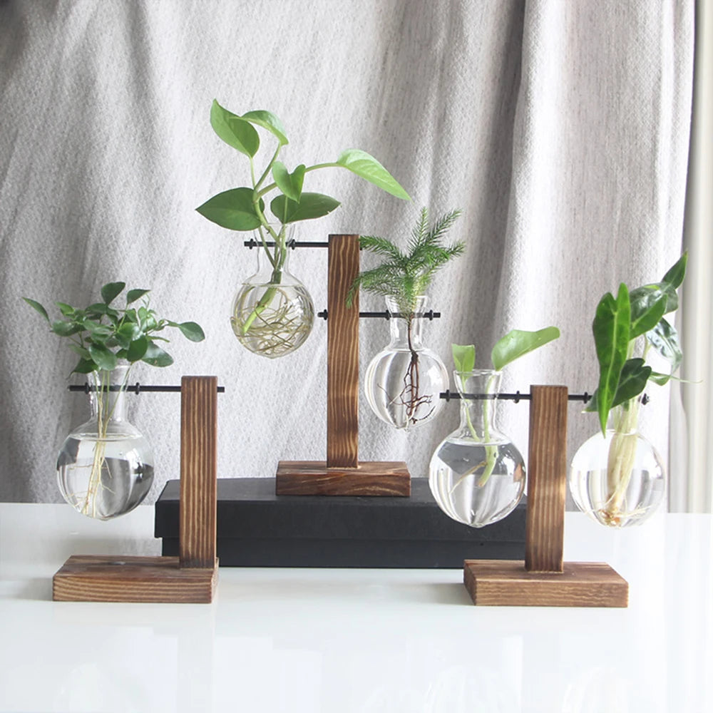 Glass Bulb Vase with Wooden Stand - EazerHome