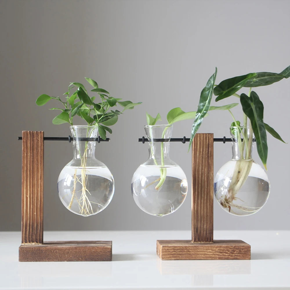 Glass Bulb Vase with Wooden Stand - EazerHome