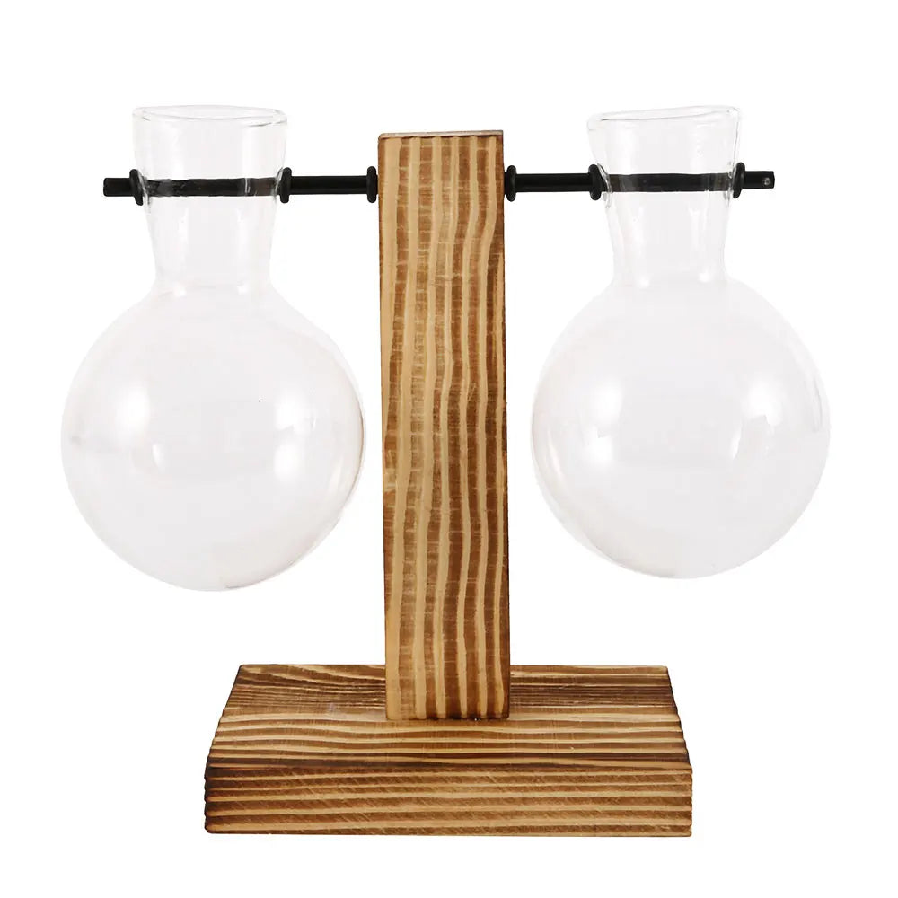 Glass Bulb Vase with Wooden Stand - EazerHome